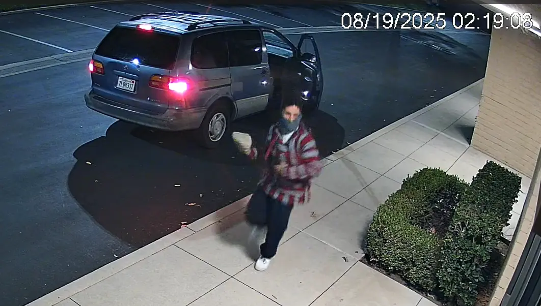 Nighttime camera footage of an intruder
