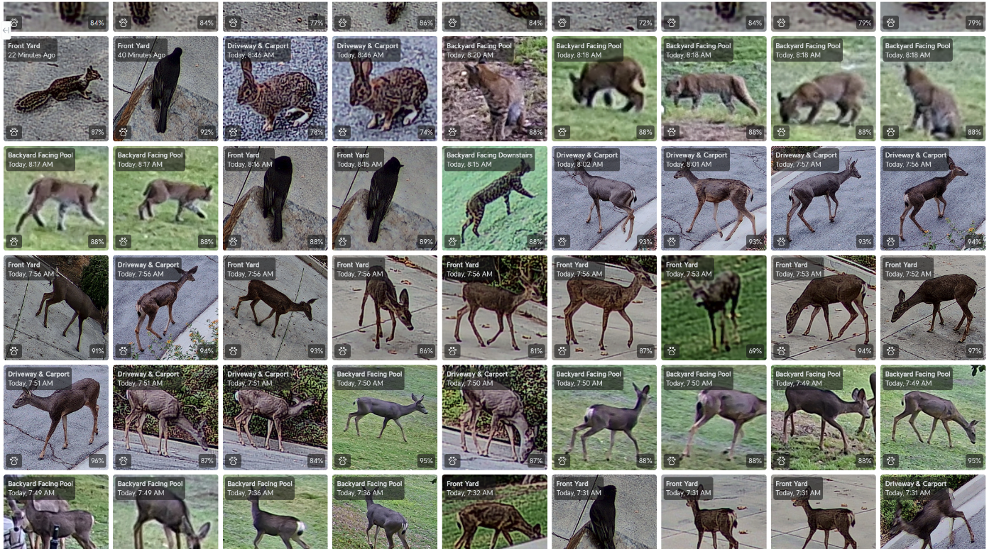 Wildlife capture grid